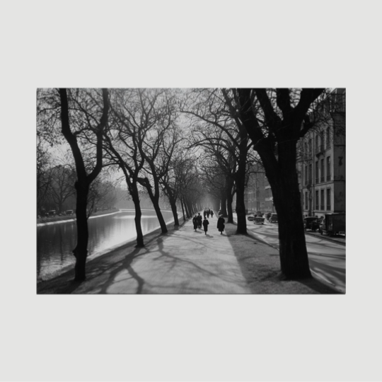 Echoes of Winter - Dibond