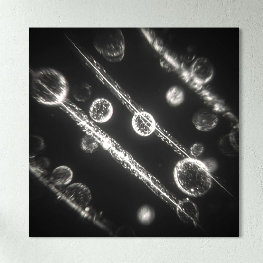 Illumination - Glass