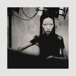 In The Shadows - Dibond