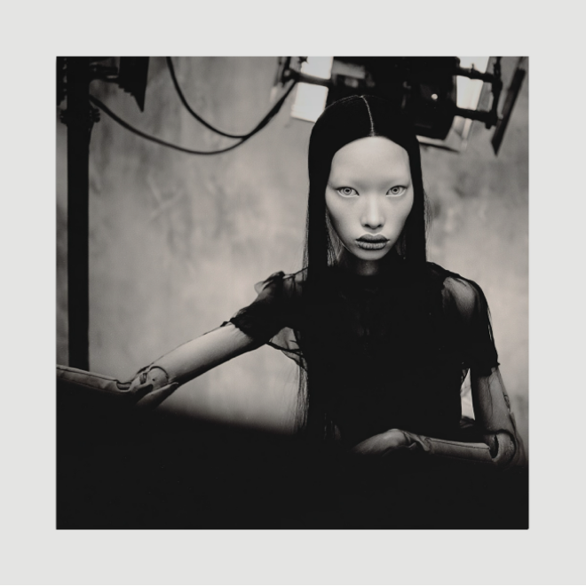 In The Shadows - Dibond