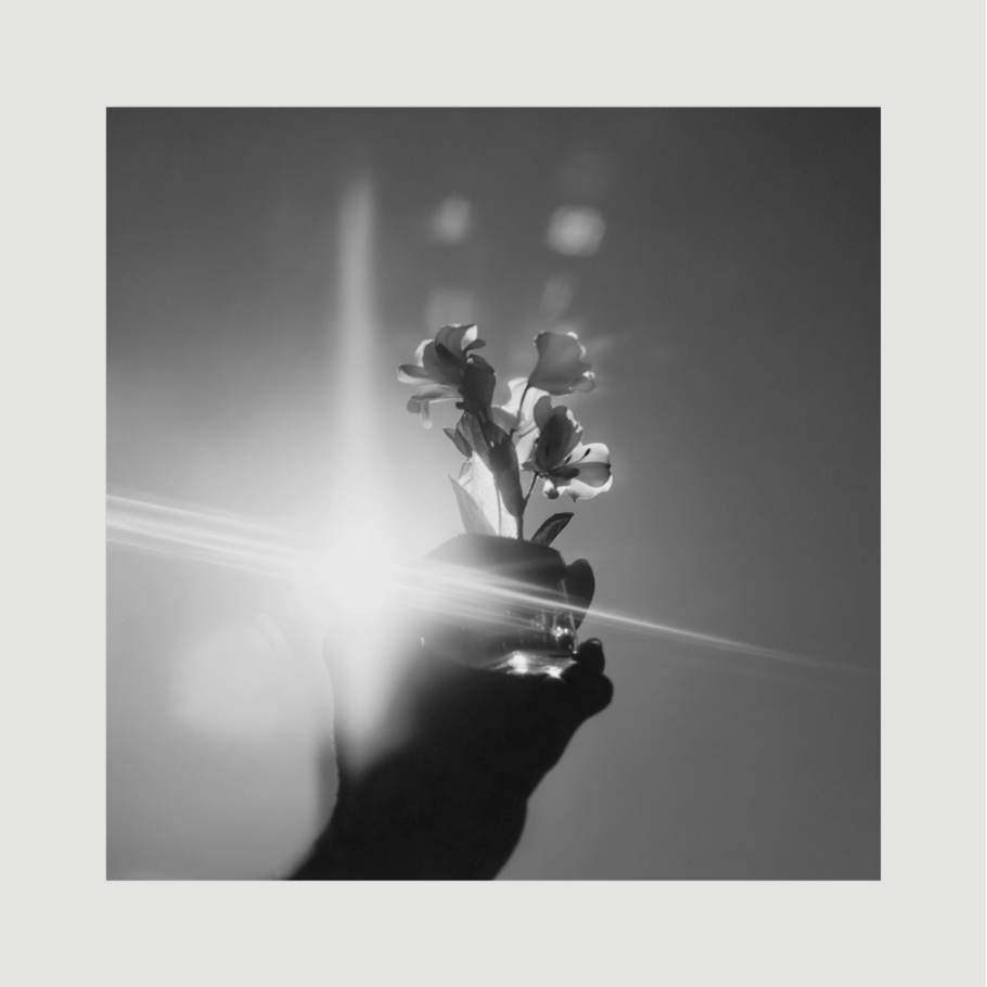 Light Holding