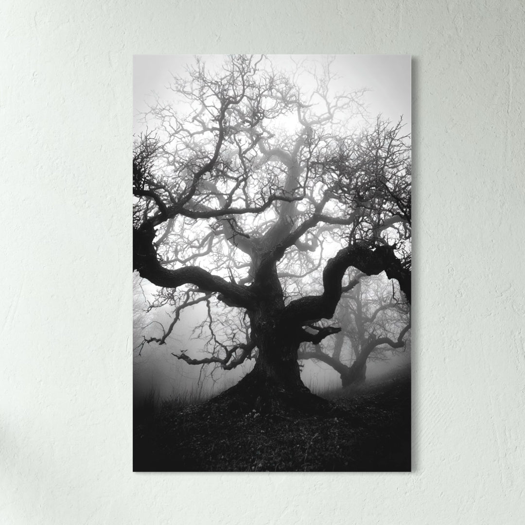 Nature's Dance - Glass