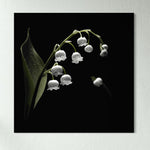 Serene Petals - Glass