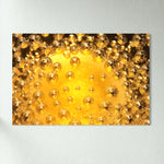 Effervescent - Glass