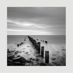 Quiet Tides