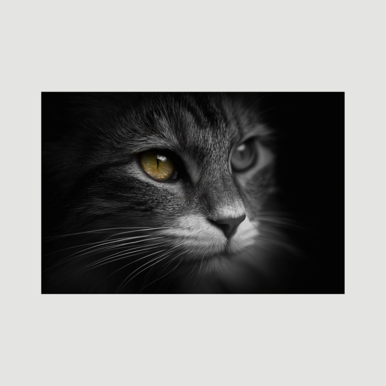 Golden Gaze