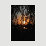 Golden Horizon