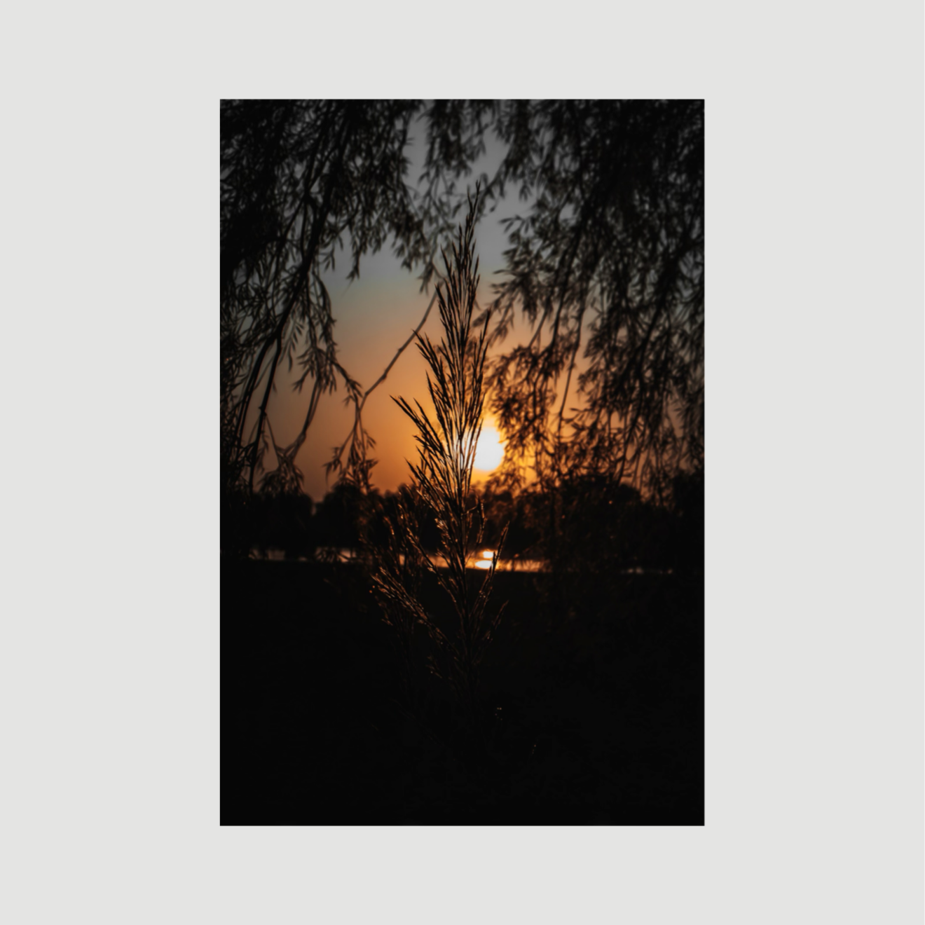 Golden Horizon