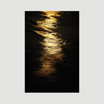 Midnight Shine