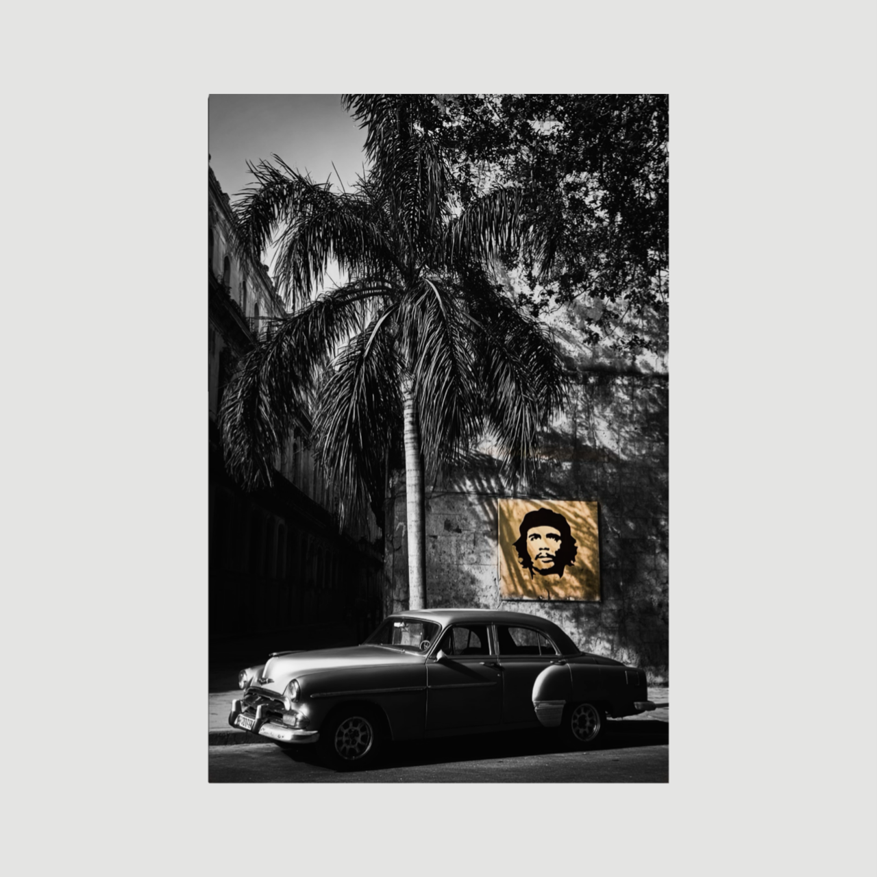 Cuban Dream