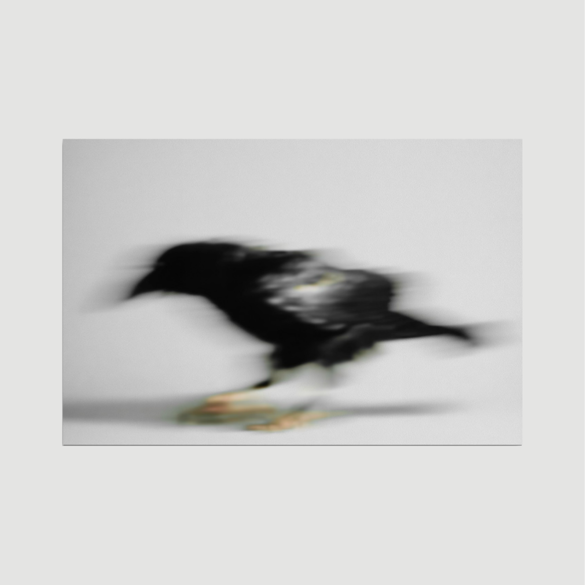 The Crow