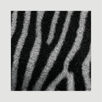 Stripes - Dibond
